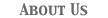 About DenLin Associates